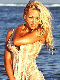 Pamela Anderson